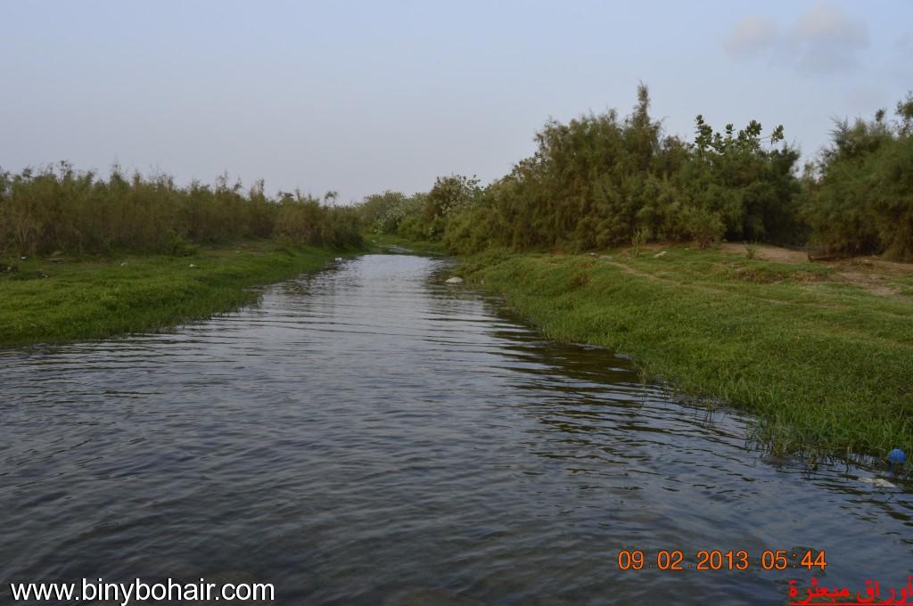    86f78658.jpg