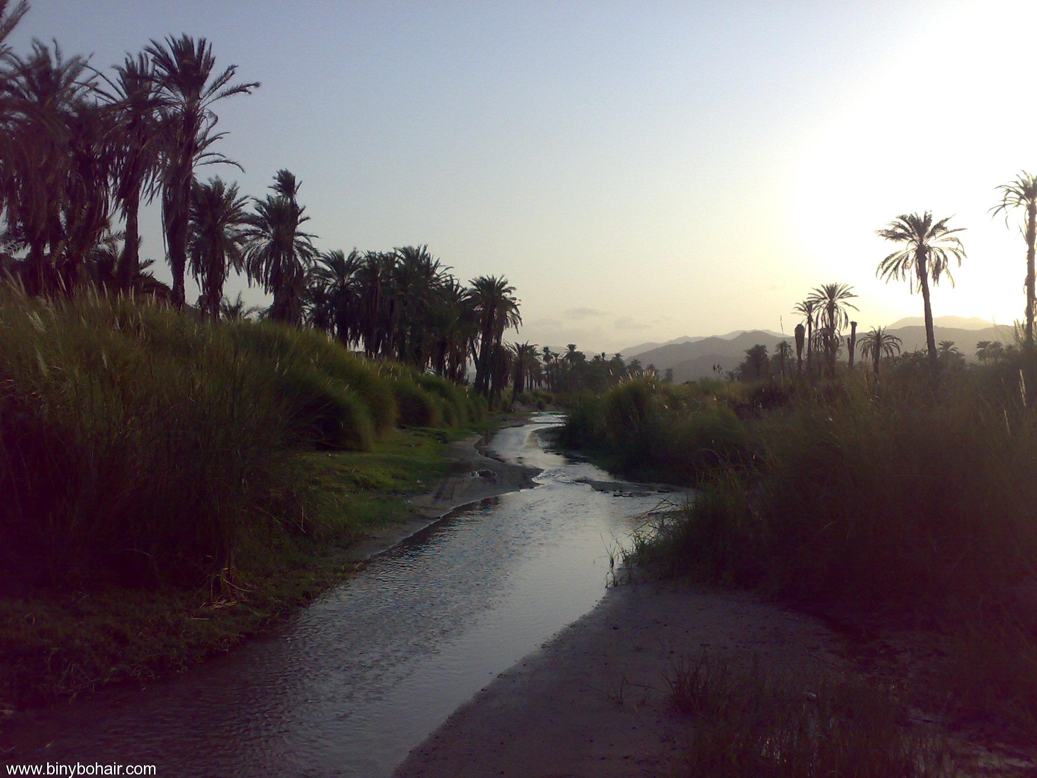 نقره لعرض الصورة في صفحة مستقلة