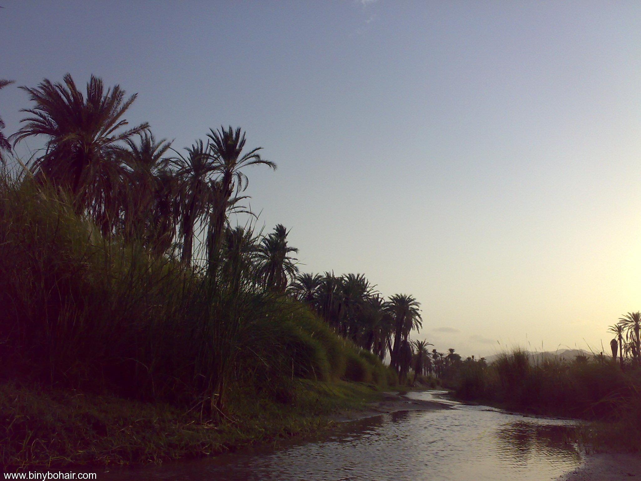 نقره لعرض الصورة في صفحة مستقلة