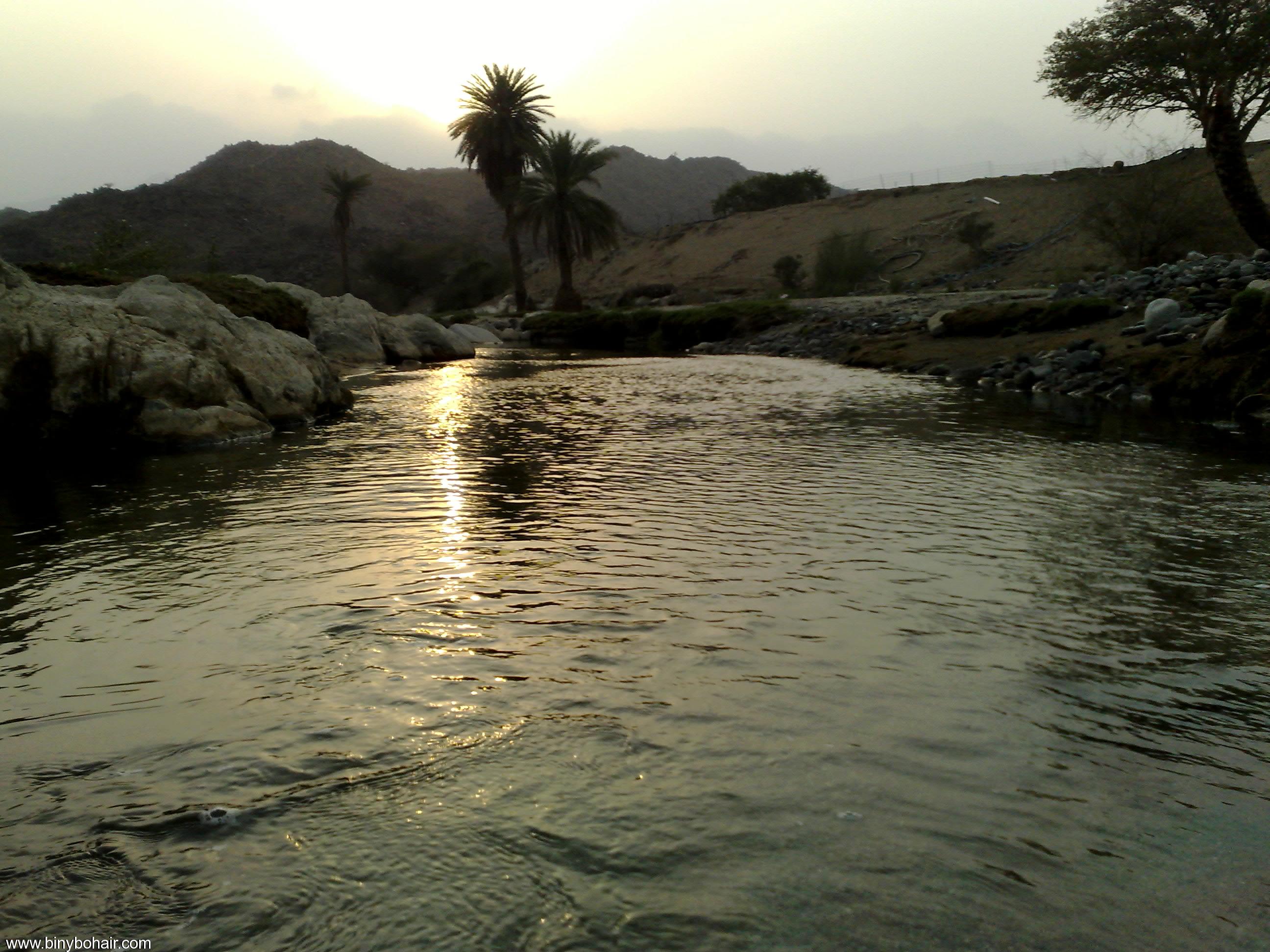 نقره لعرض الصورة في صفحة مستقلة