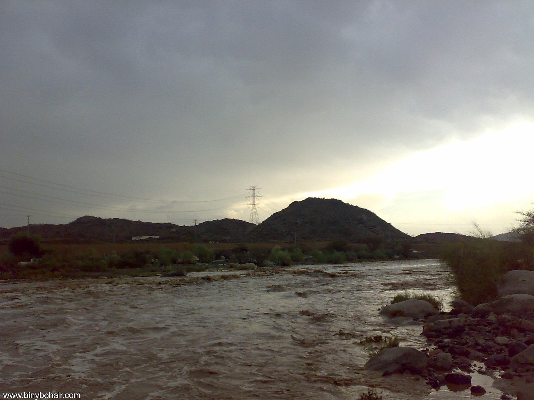 نقره لعرض الصورة في صفحة مستقلة