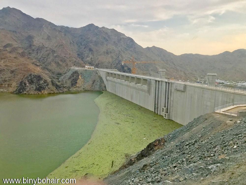 نقره لعرض الصورة في صفحة مستقلة