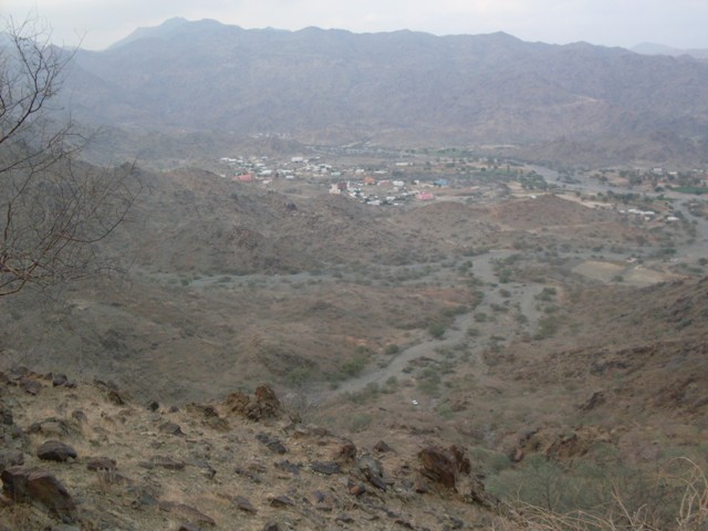    5ql82312.jpg